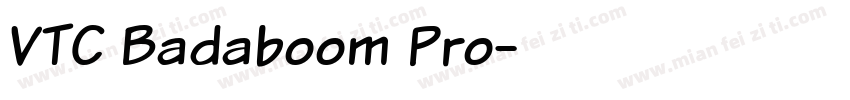VTC Badaboom Pro字体转换